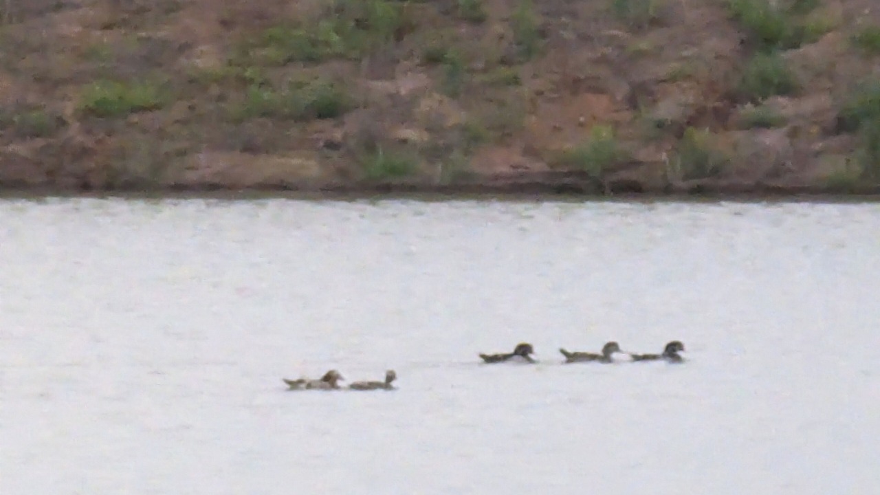 Photo of Others in Anderson County