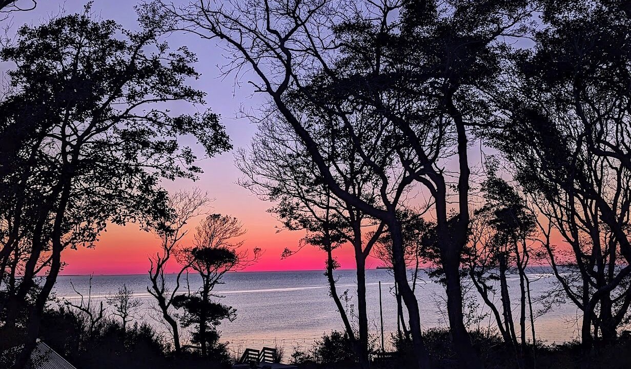 Photo of Others in Cape Charles