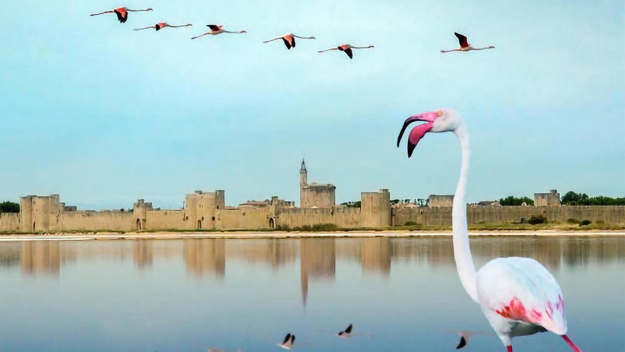 Photo of Others in Calvisson