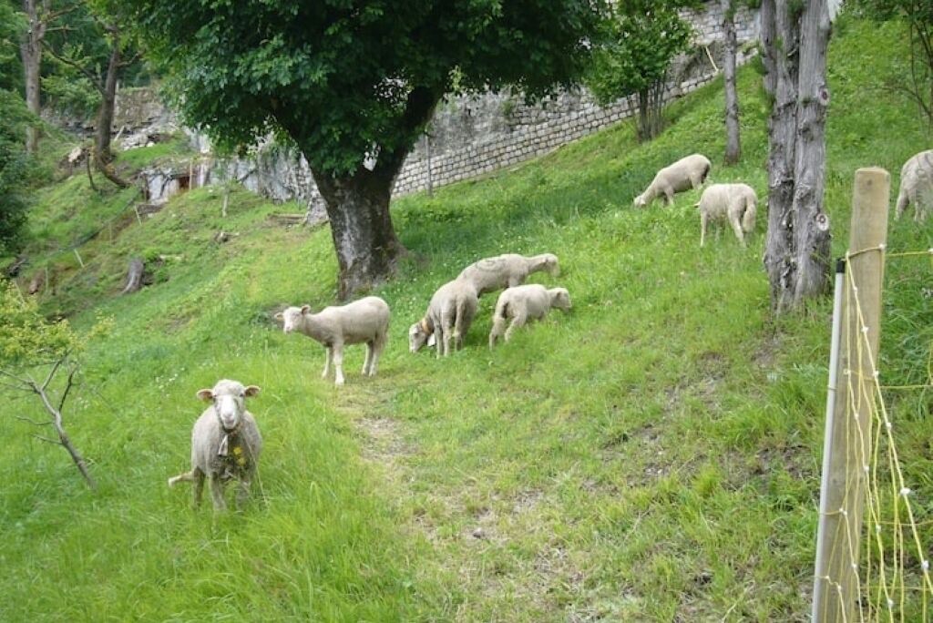 Photo of Others in La Tronche