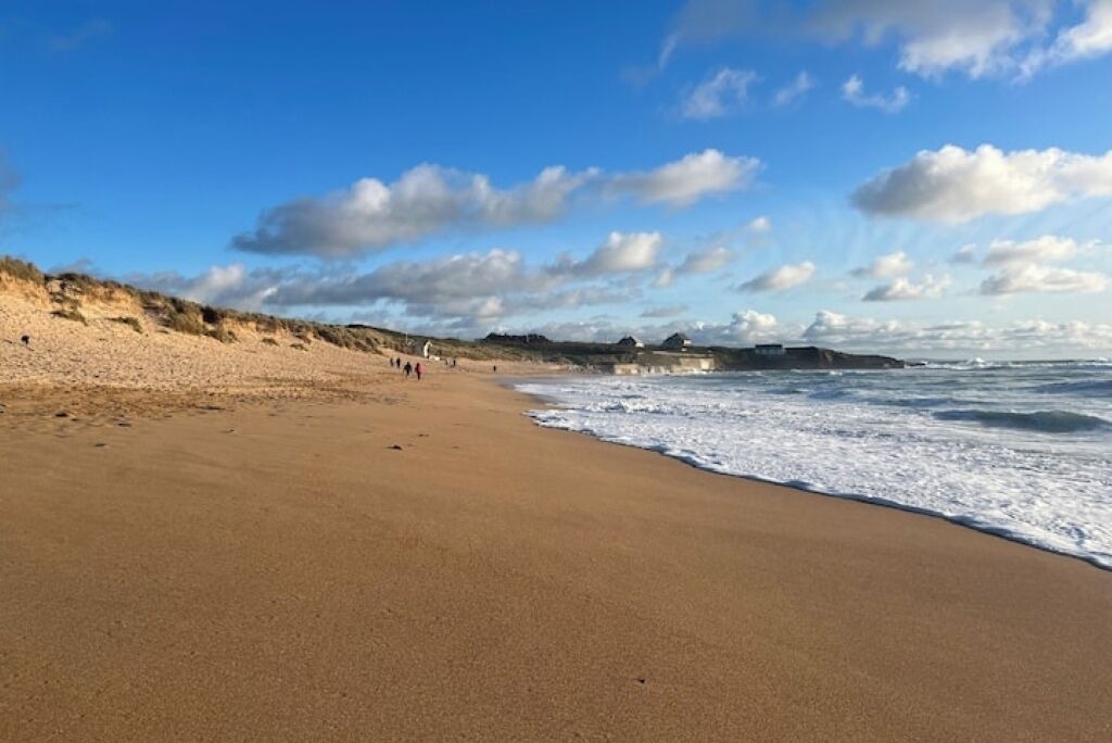 Photo of Others in Padstow