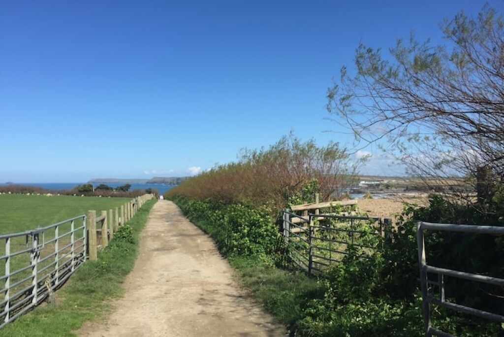 Photo of Others in Padstow