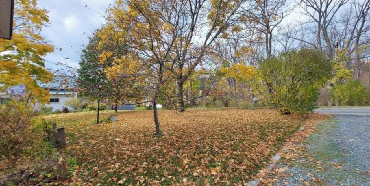 Photo of Outdoor in Town of Ledyard