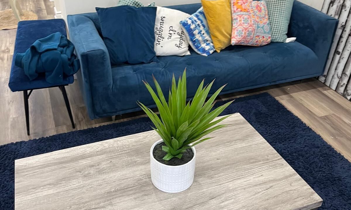 Photo of Livingroom in Waterloo