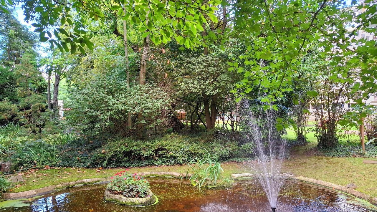 Photo of Outdoor in Saint-Maurice Pellevoisin
