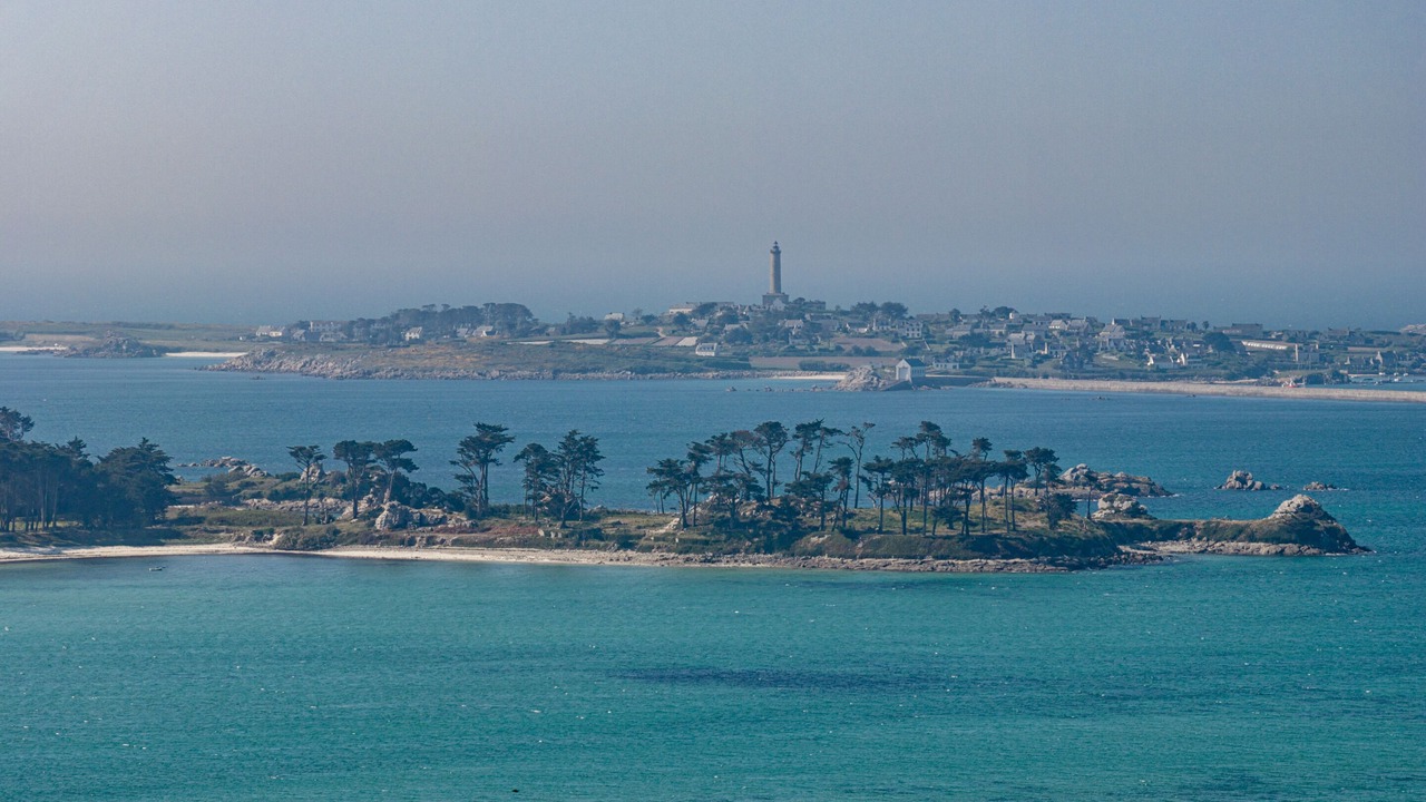 Photo of Others in Roscoff