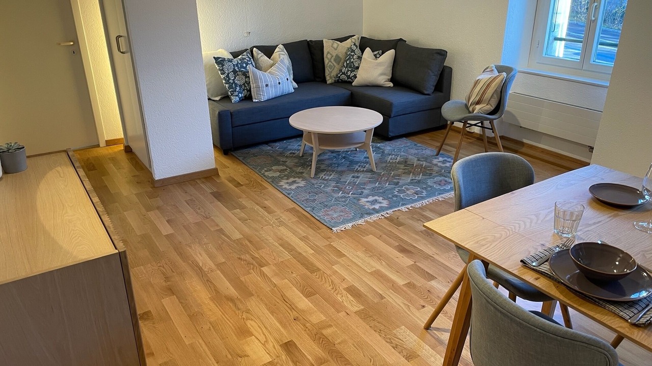 Photo of Livingroom in Petit-Saconnex / Servette