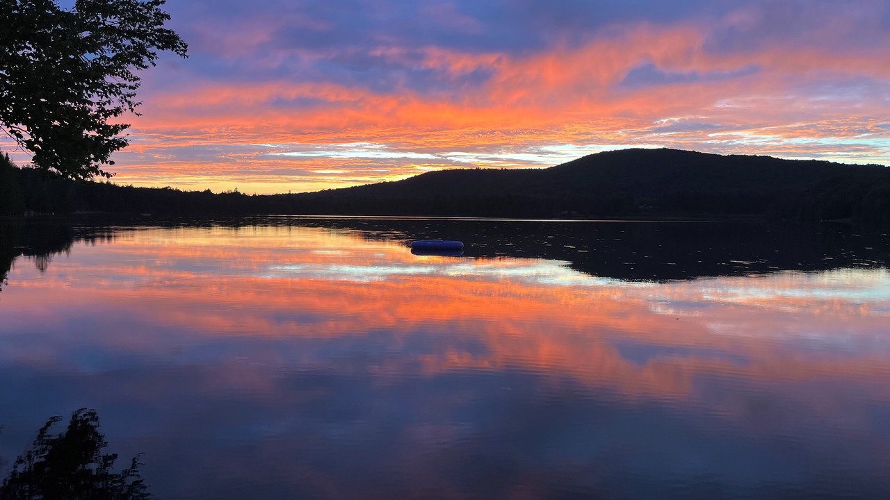 Photo of Others in Glover