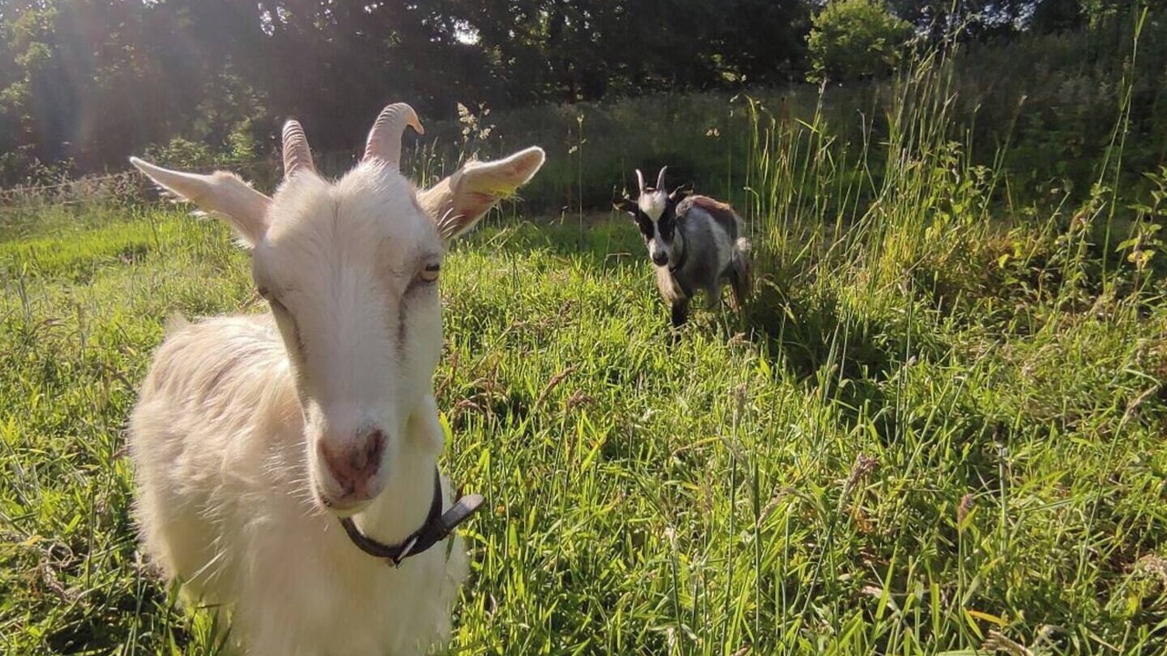 Photo of Others in Louargat