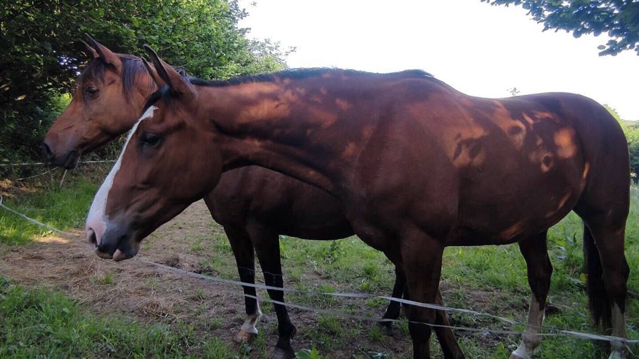 Photo of Others in Louargat