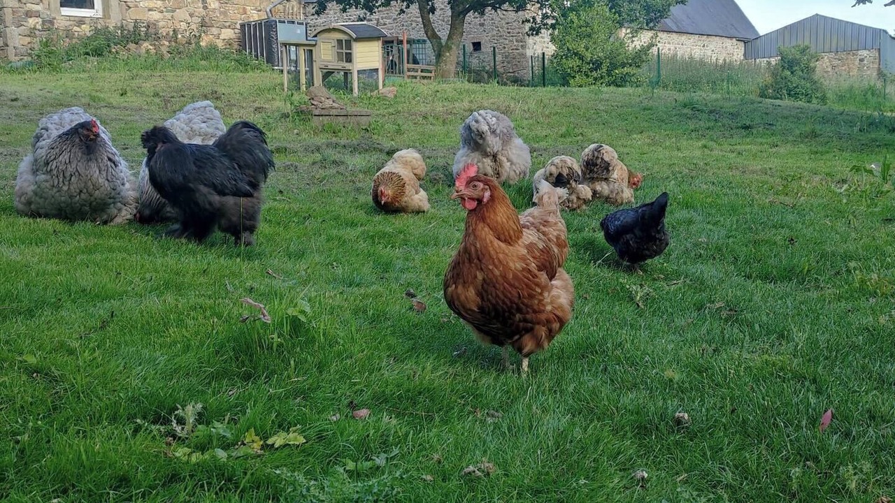 Photo of Others in Louargat