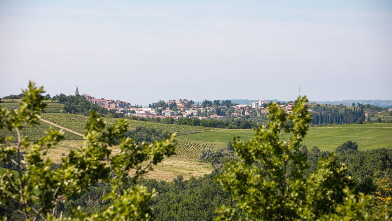 Photo of Others in Baredine