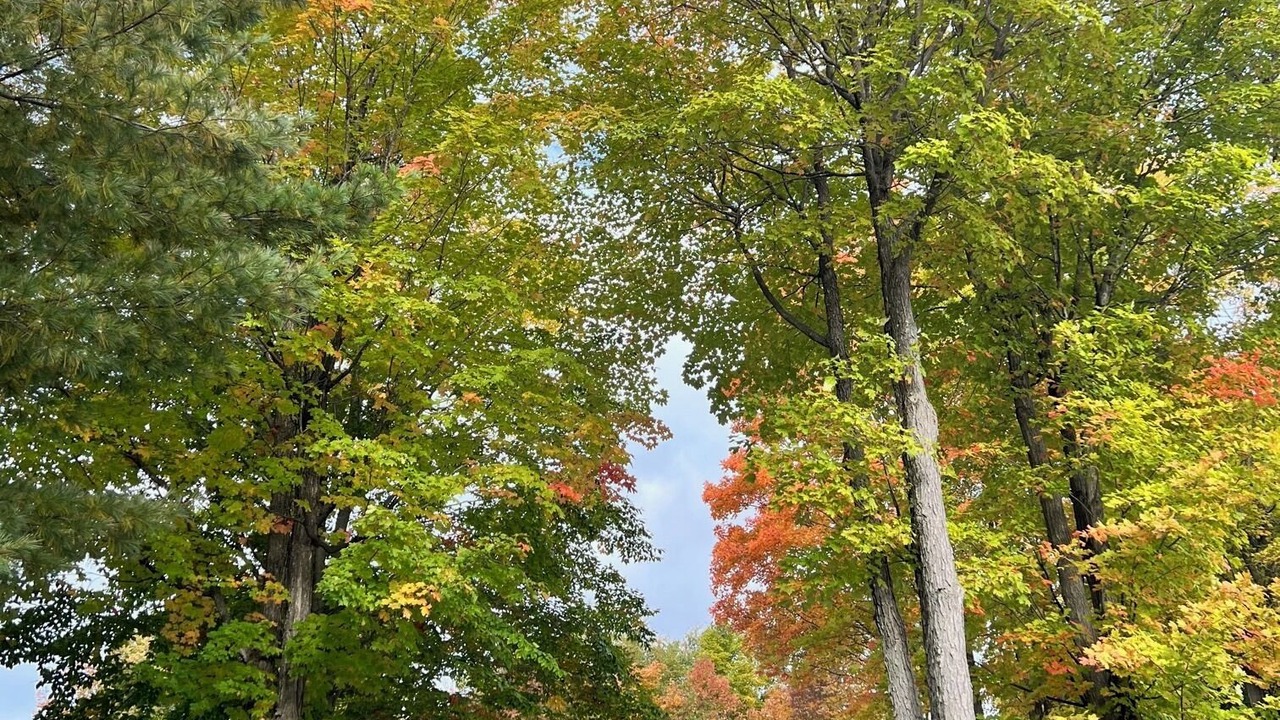 Photo of Outdoor in Central Frontenac
