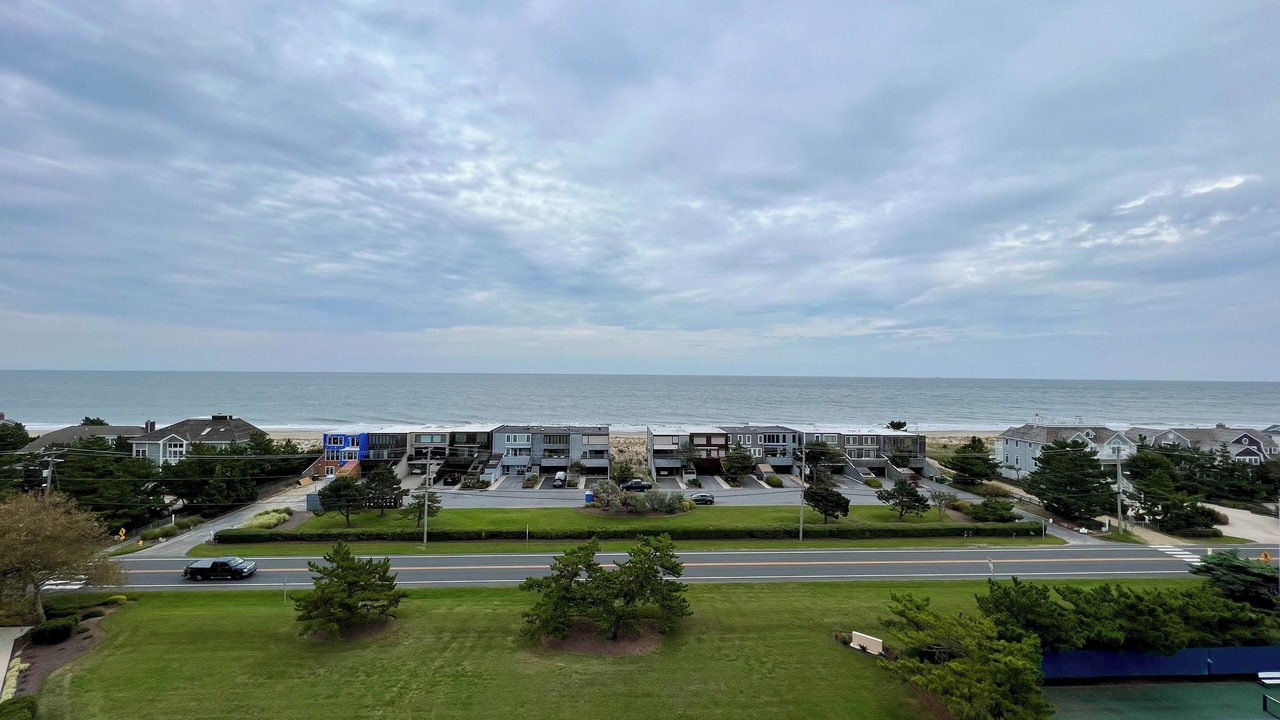 Photo of Others in North Shores