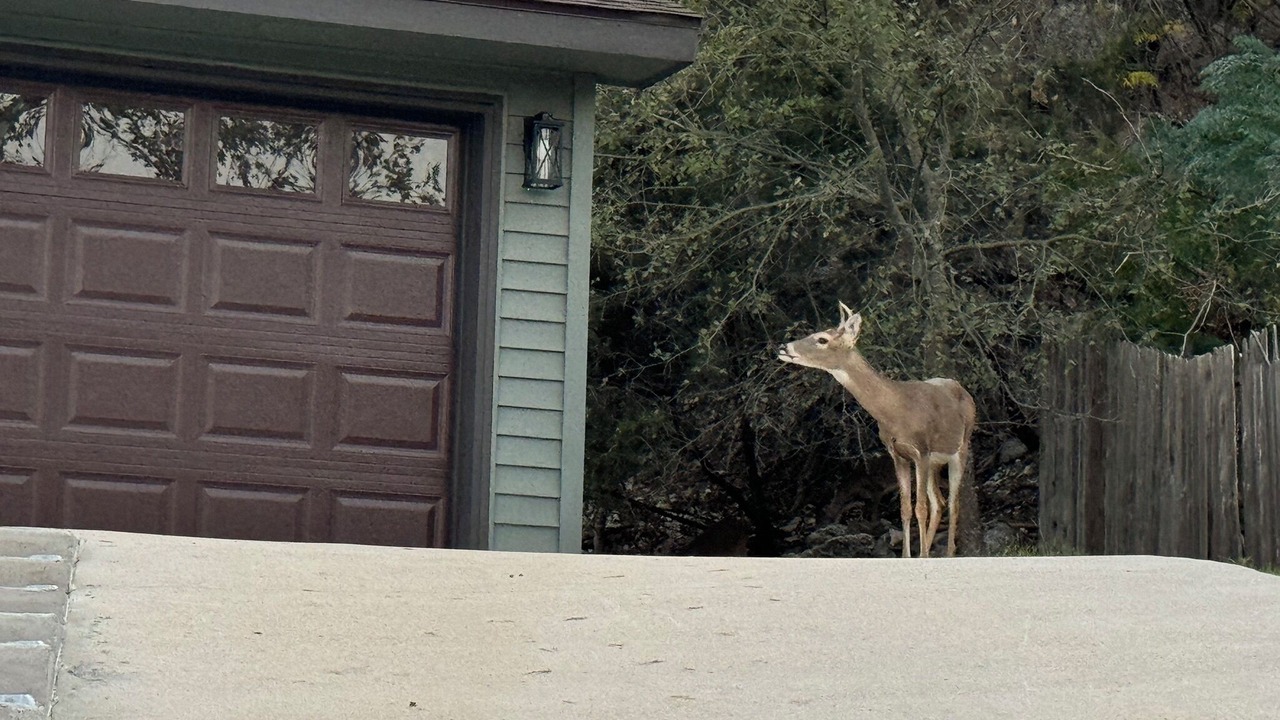 Photo of Outdoor in Copperas Cove