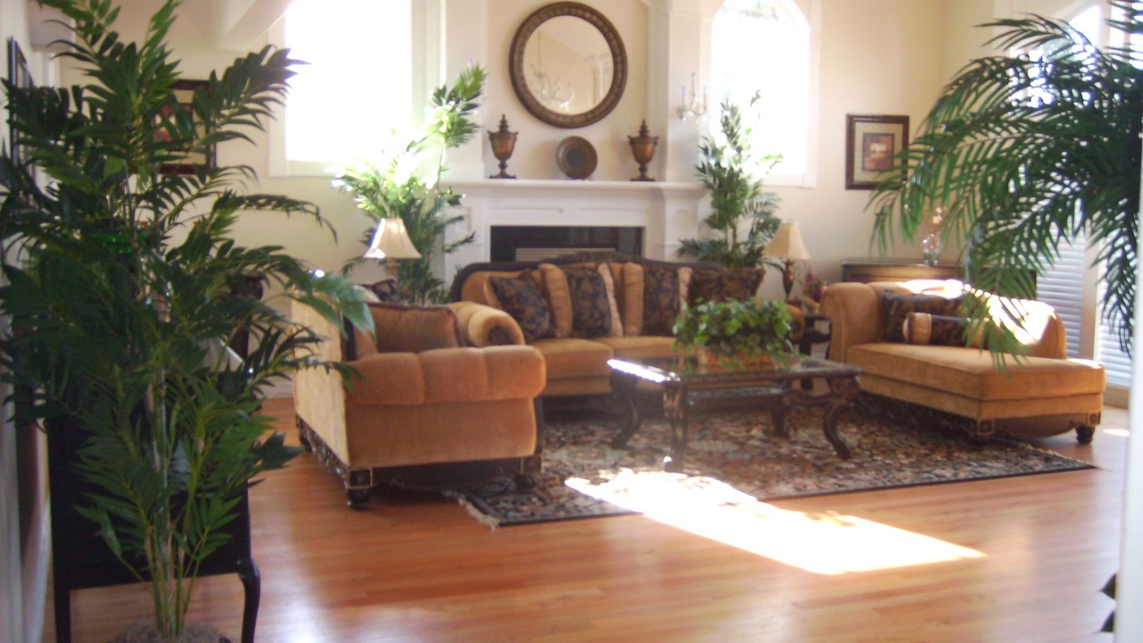 Photo of Livingroom in Kenmore