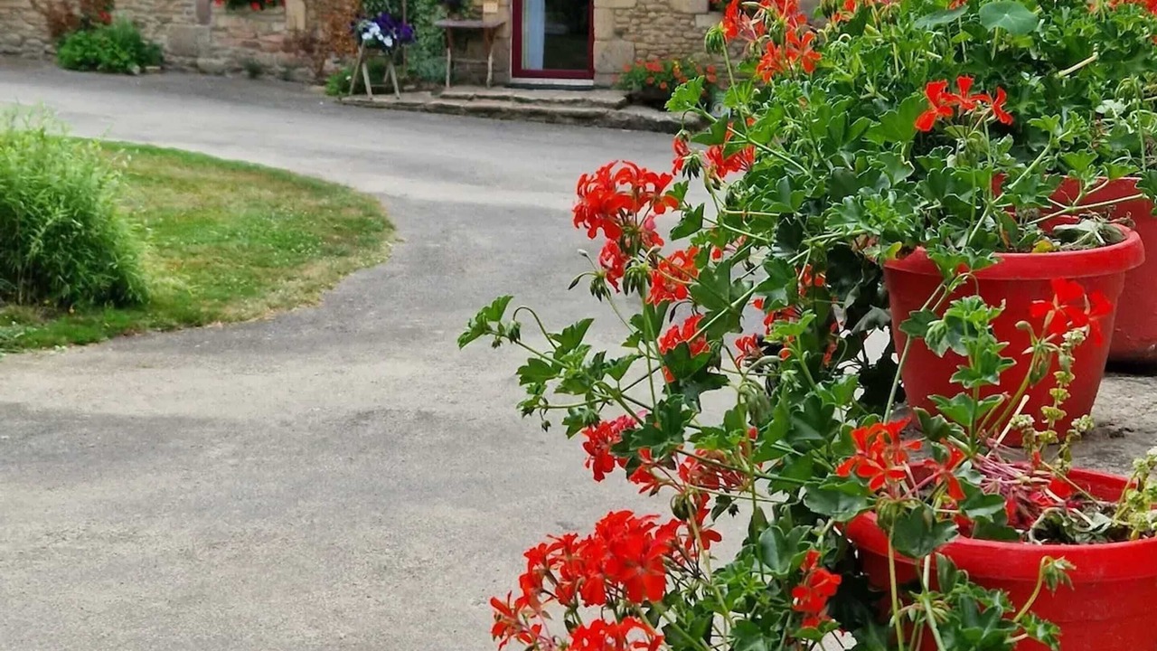 Photo of Outdoor in Beganne