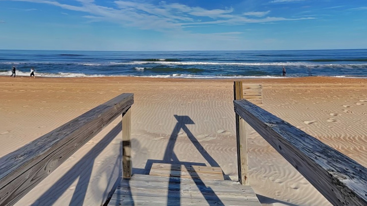 Photo of Others in O'byrne