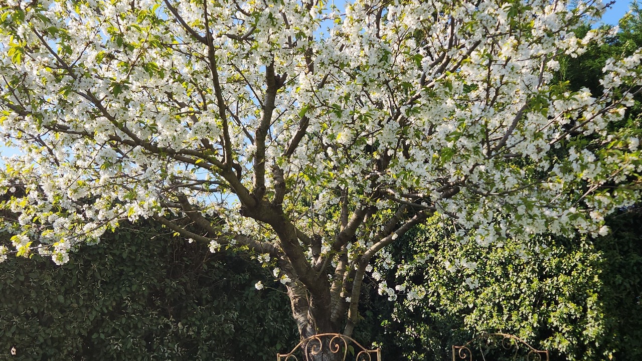 Photo of Outdoor in Saint-Laurent-La-Vernede