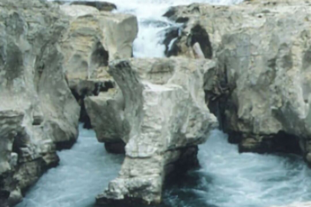 Photo of Others in Saint-Laurent-La-Vernede