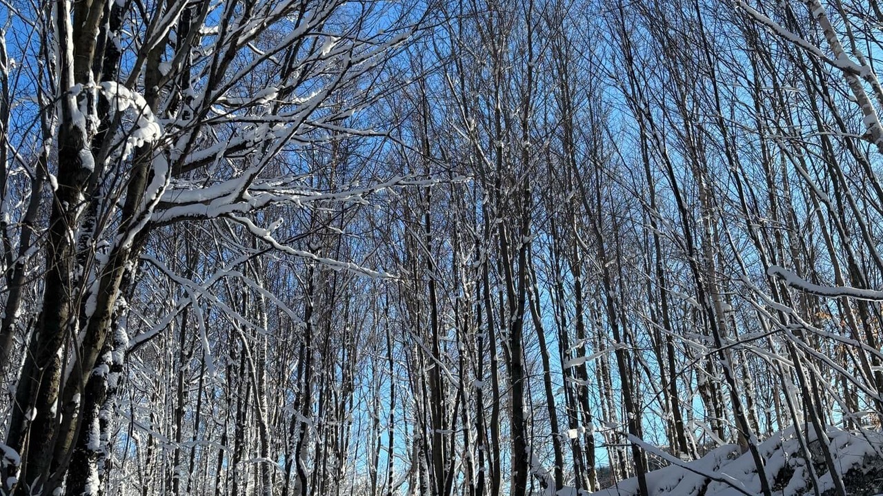 Photo of Others in St-Adolphe-d'Howard
