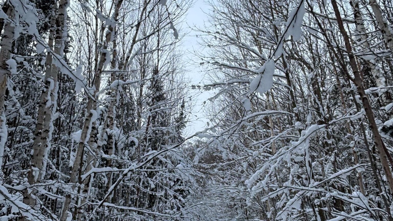 Photo of Others in St-Adolphe-d'Howard