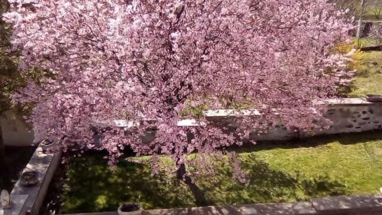 Photo of Outdoor in Clemensat