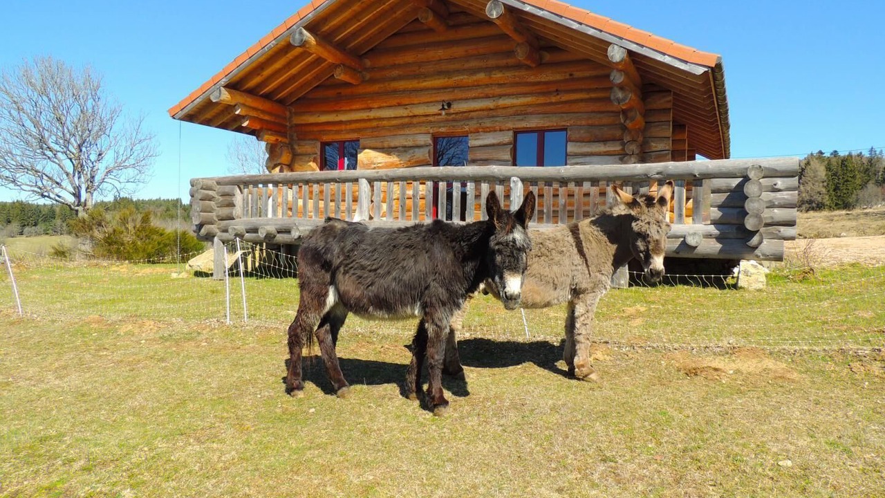 Photo of Outdoor in Saint-Antheme