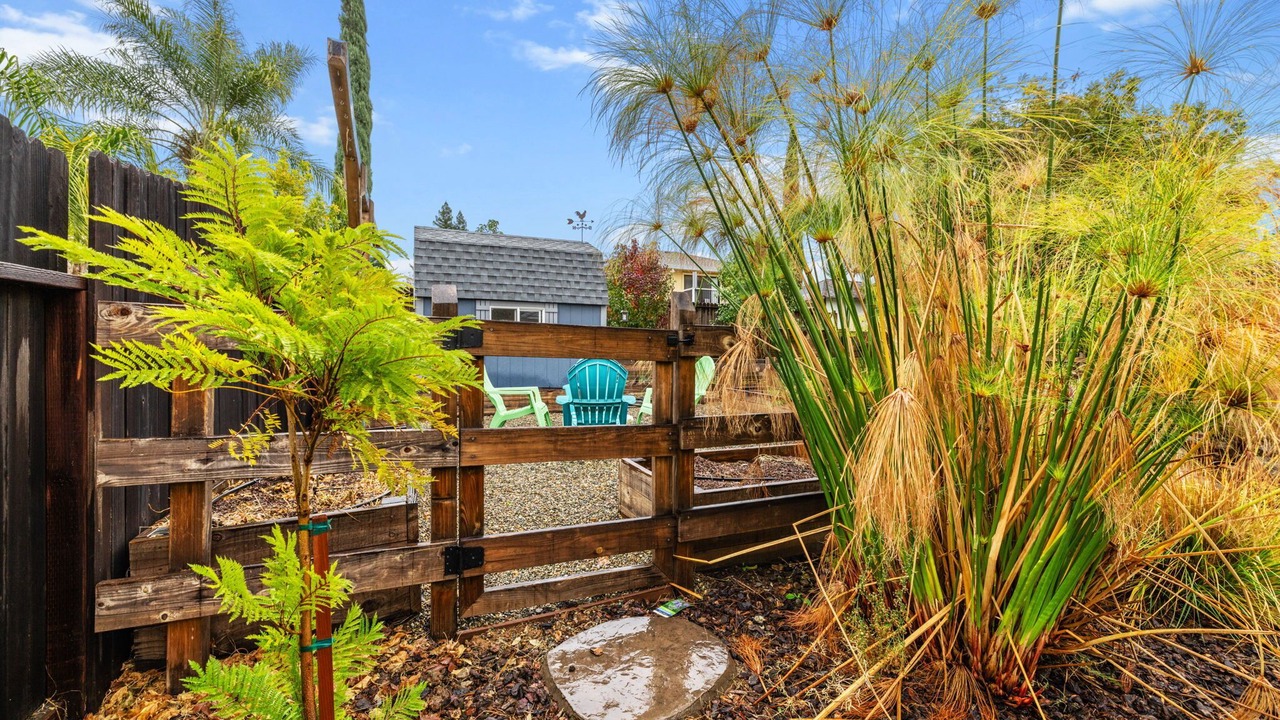 Photo of Outdoor in Orangevale