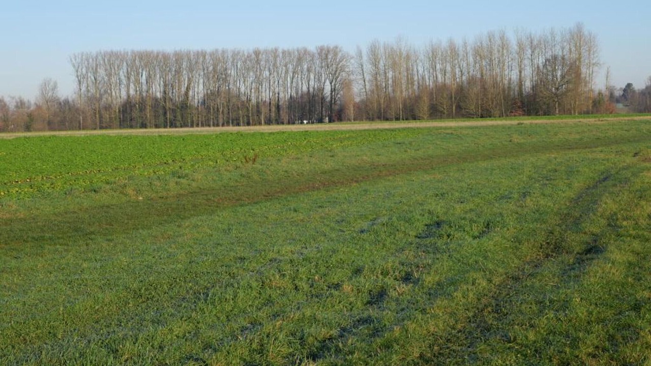 Photo of Others in Flines-les-Mortagne