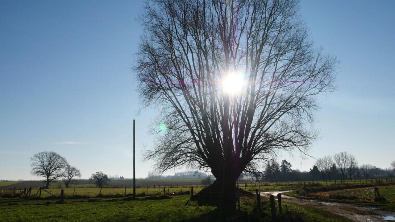 Photo of Others in Flines-les-Mortagne
