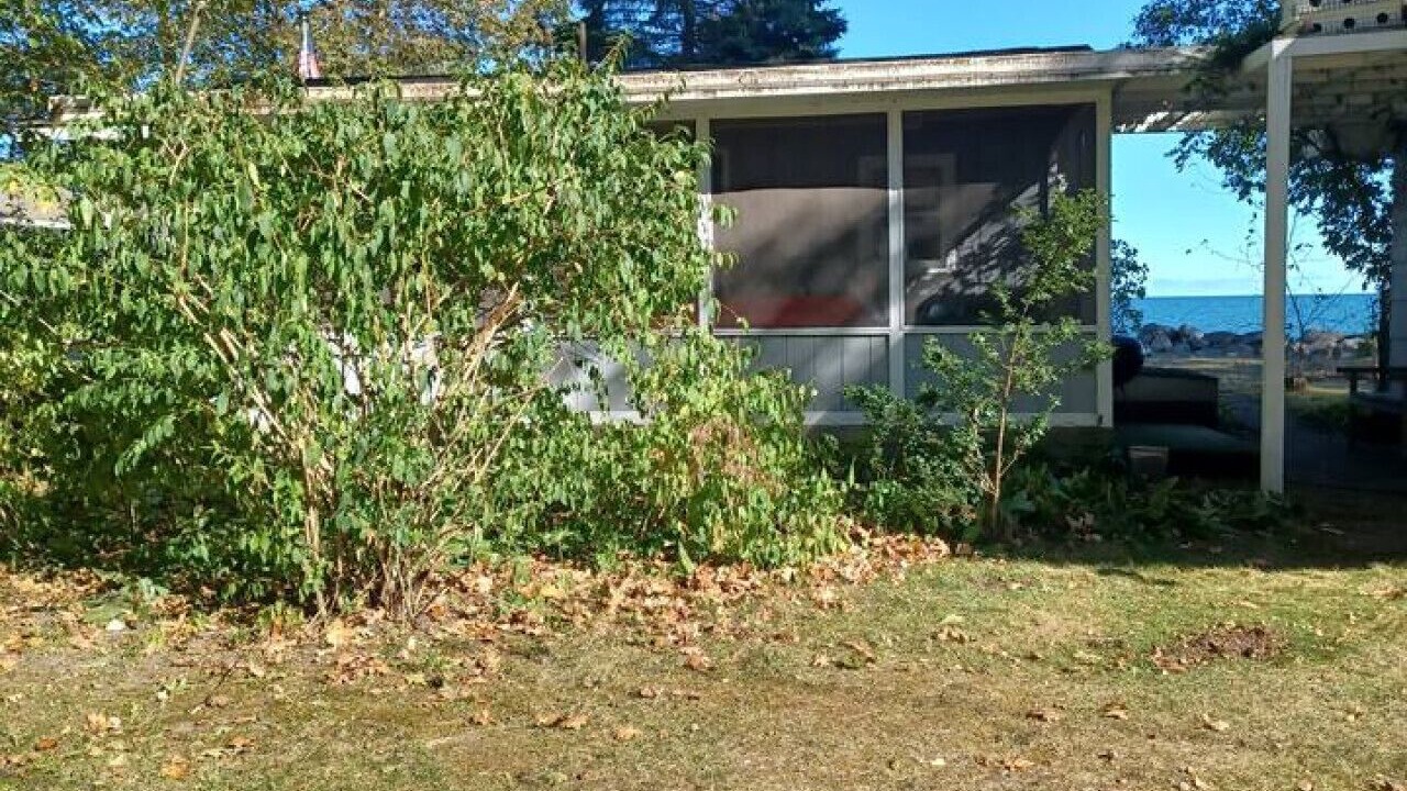 Photo of Outdoor in East Tawas