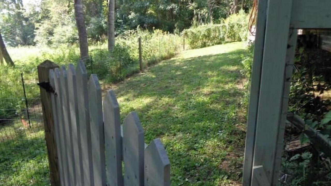 Photo of Outdoor in Andersonville