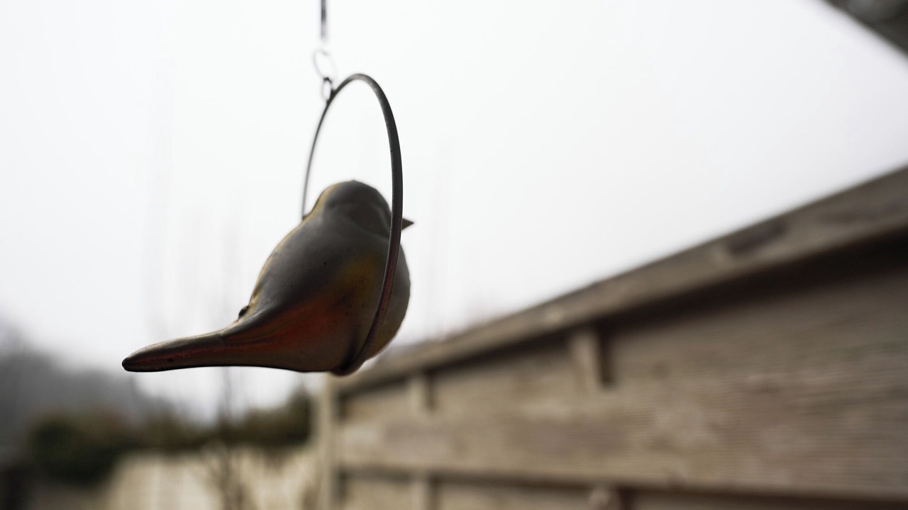 Photo of Others in Thones