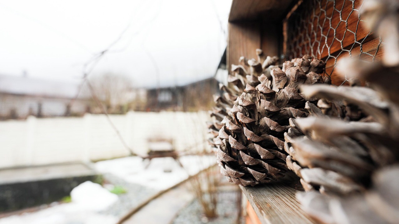 Photo of Others in Thones