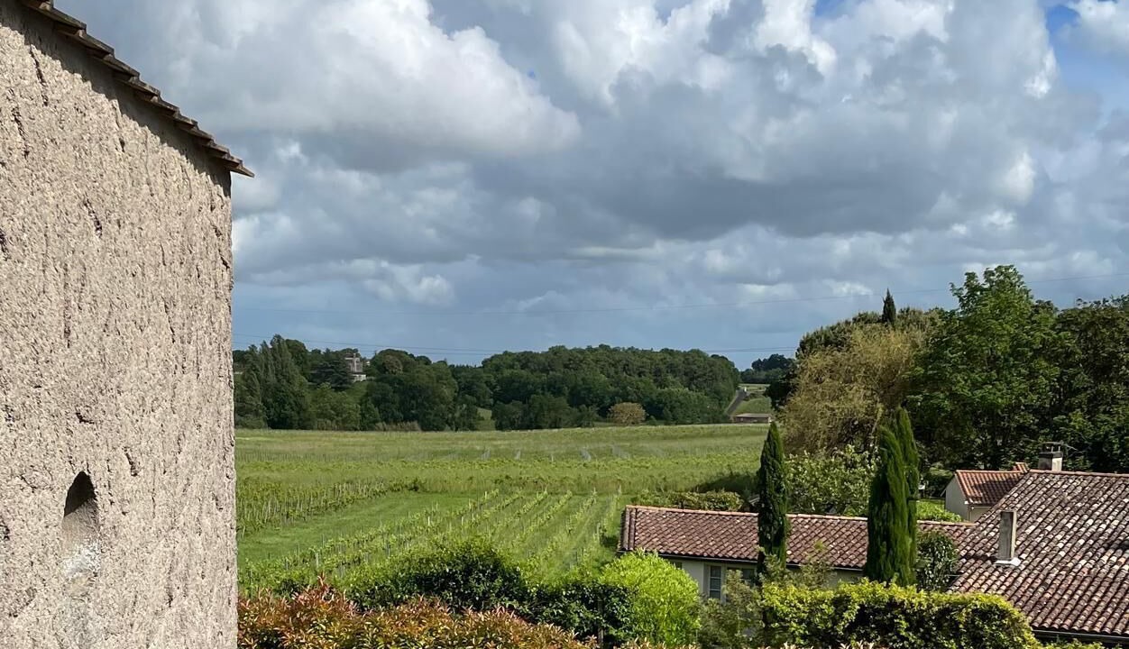 Photo of Outdoor in Saint-Aignan