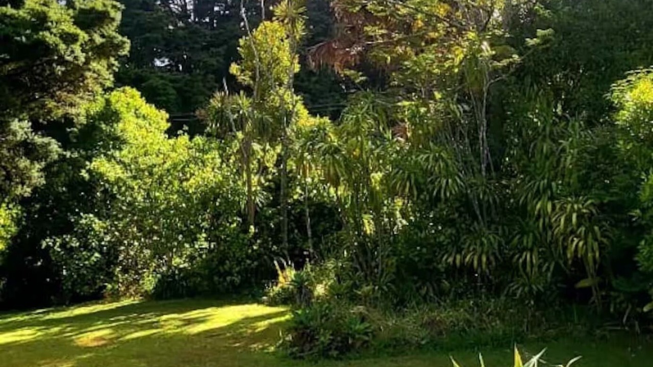Photo of Outdoor in Whangarei
