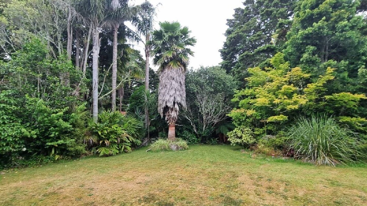 Photo of Outdoor in Whangarei