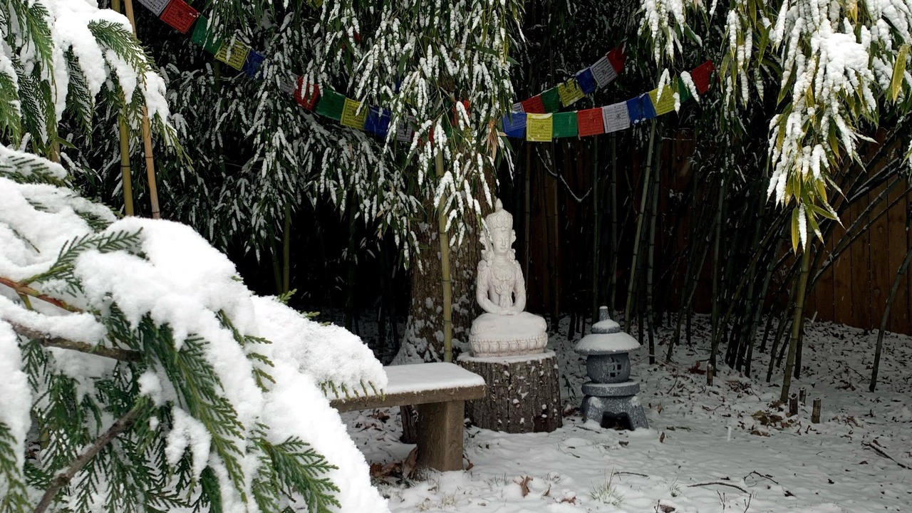 Photo of Outdoor in Baileys Crossroads