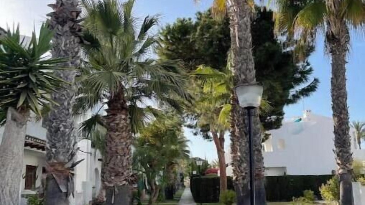 Photo of Outdoor in L'Albufereta