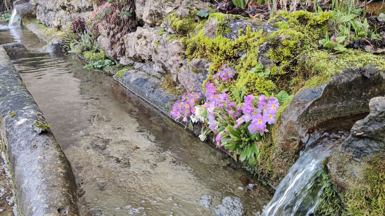 Photo of Others in Laneuveville-derriere-Foug