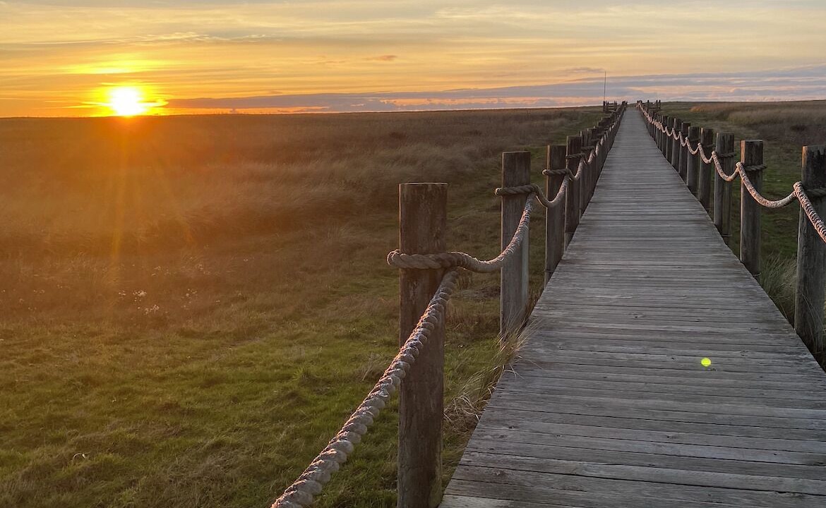 Photo of Others in Gearhart