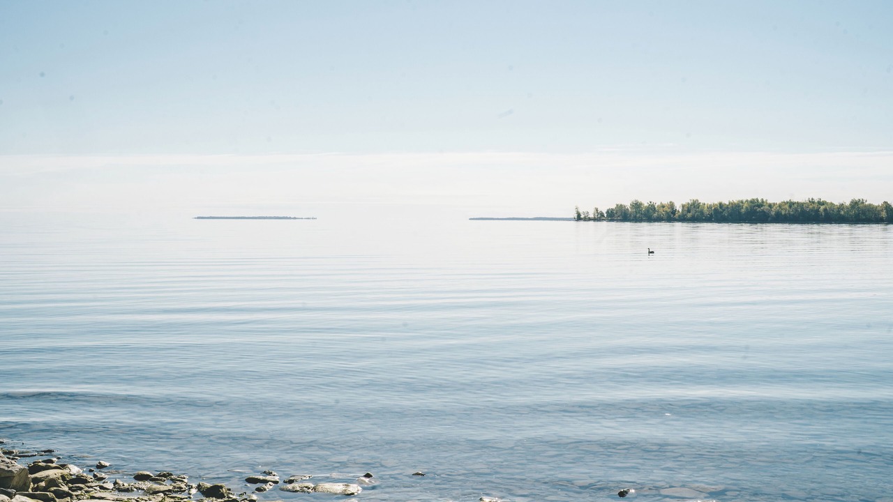 Photo of Others in Waupoos
