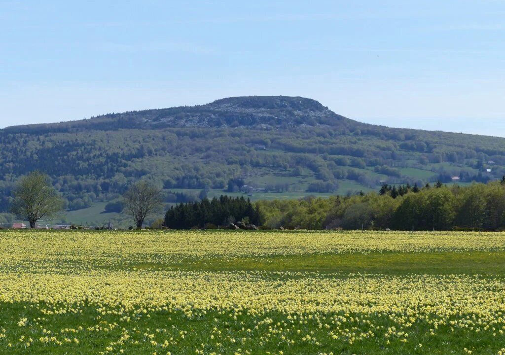 Photo of Others in Chambonas