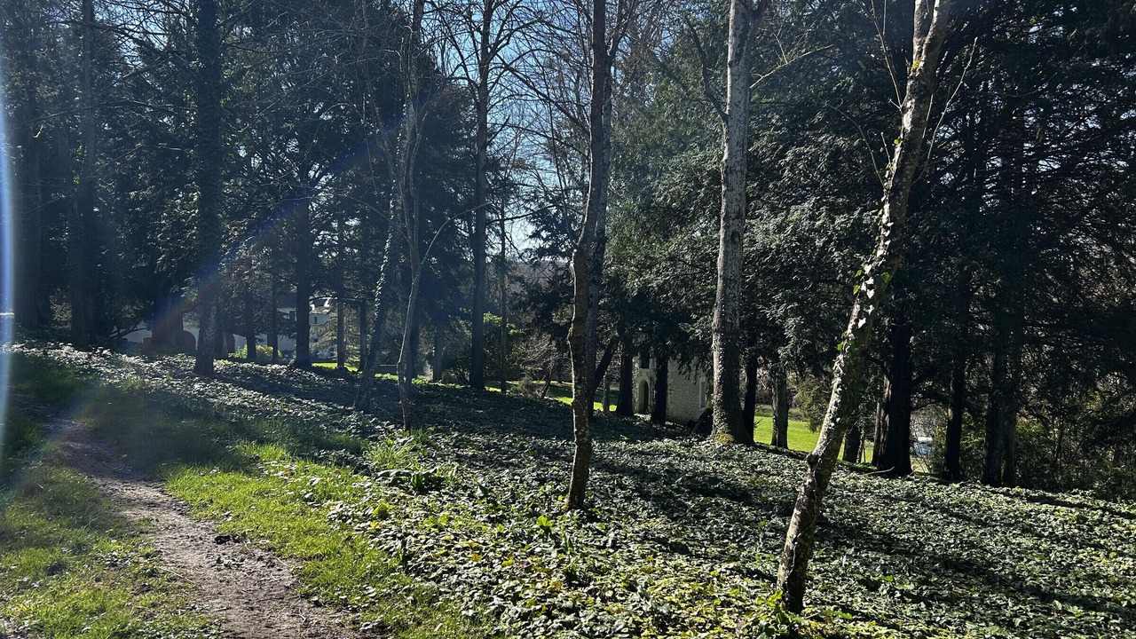 Photo of Others in Lesigny