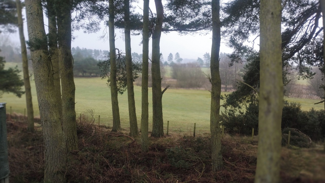 Photo of Others in Jedburgh