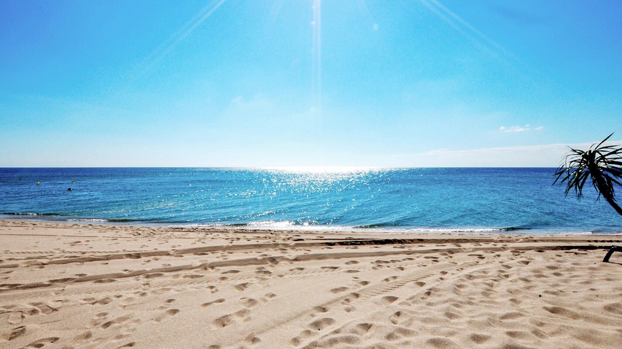 Photo of Others in Le Barcares