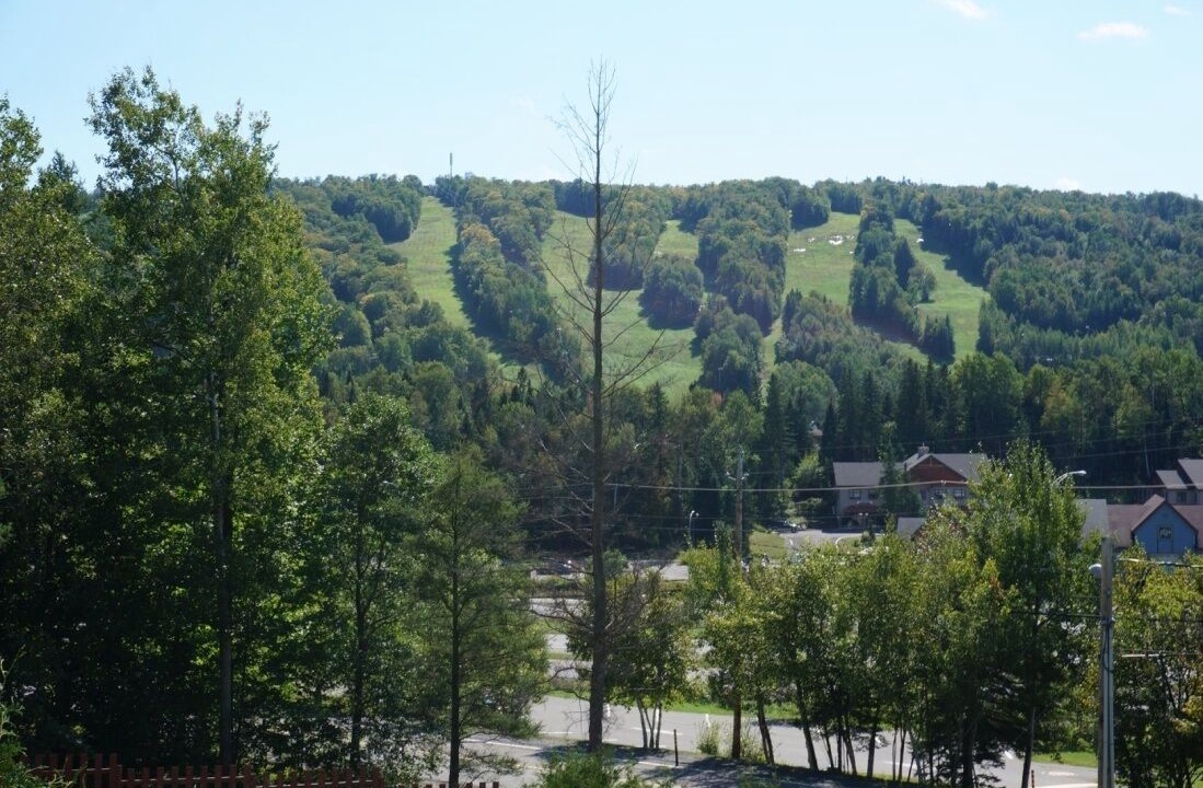 Photo of Others in Piedmont