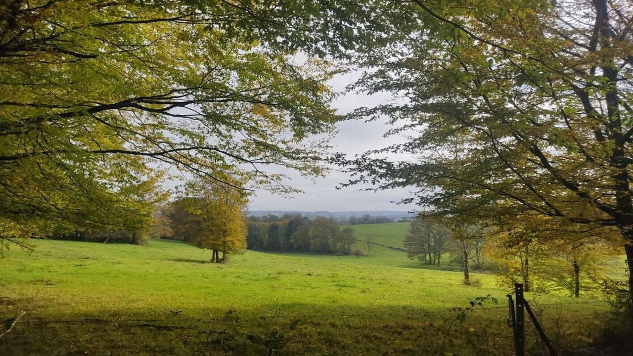 Photo of Others in Signy-lAbbaye