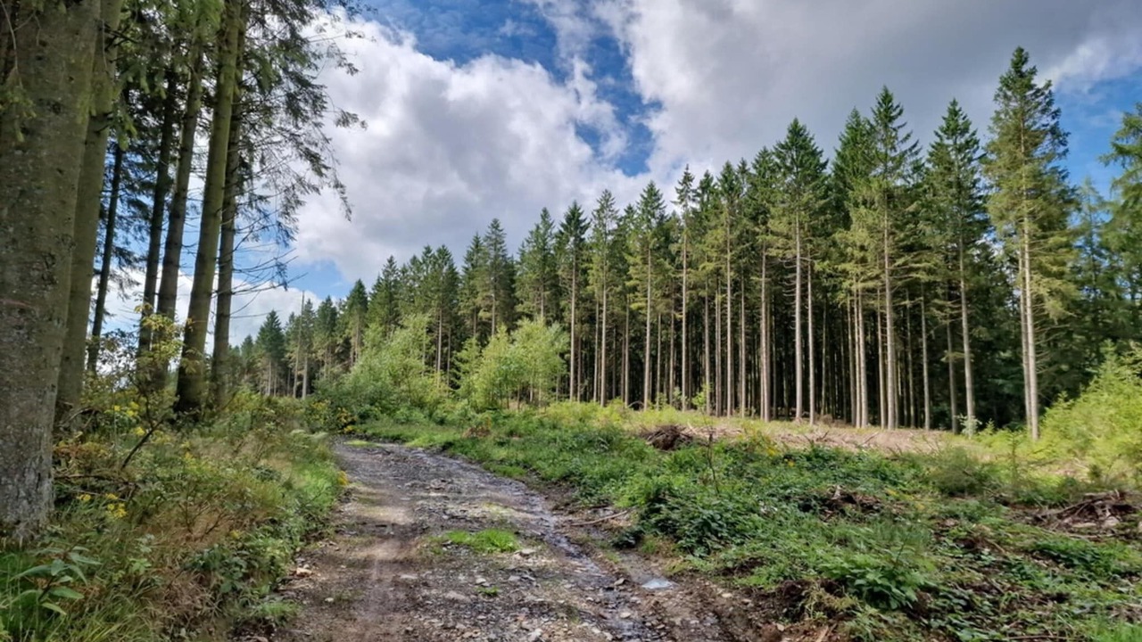 Photo of Others in Signy-lAbbaye